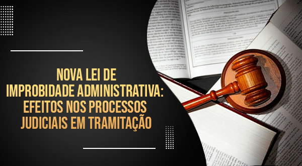 Nova Lei De Improbidade Administrativa - Análise Da Lei n. 8.429